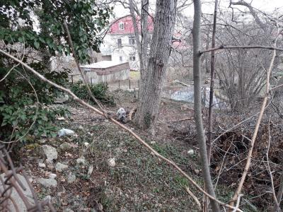 Прикрепленное изображение: 6.jpg